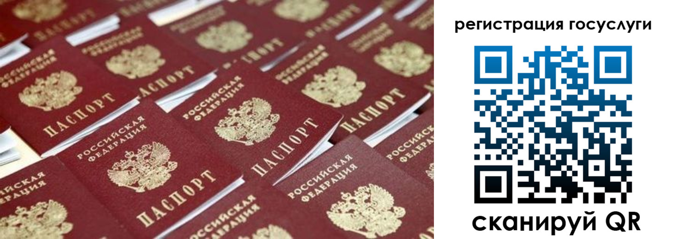 прописка ребенка в Мурманской области